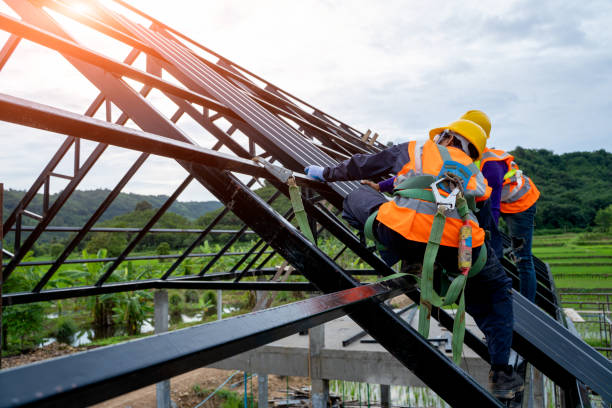 Best Affordable Roof Replacement  in Riner, VA